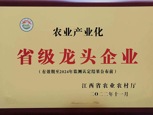 国精品无码人妻一区二区三区